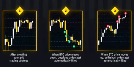 DCA Bot vs Grid Bot: Ключевые различия в торговле криптовалютой